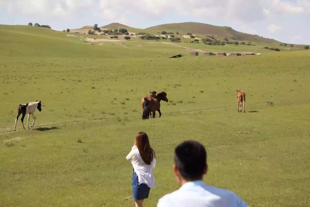 乾港集團(tuán)高層草原自駕游 乾港集團(tuán)高層草原自駕游