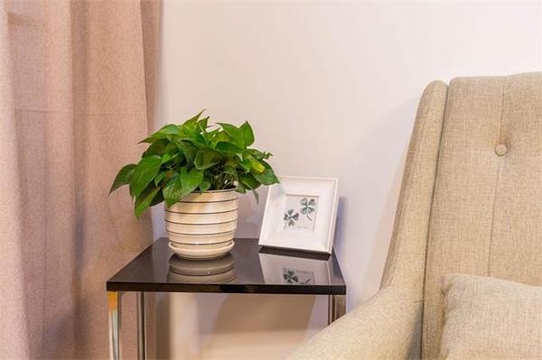 乾港集團,乾港官網(wǎng),乾港網(wǎng)絡(luò),室內(nèi)空氣凈化公司